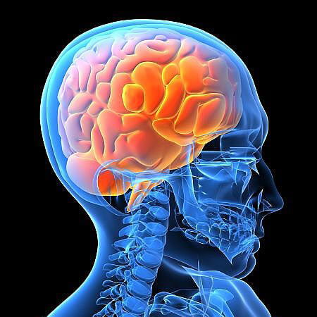 brain glowing inside human head